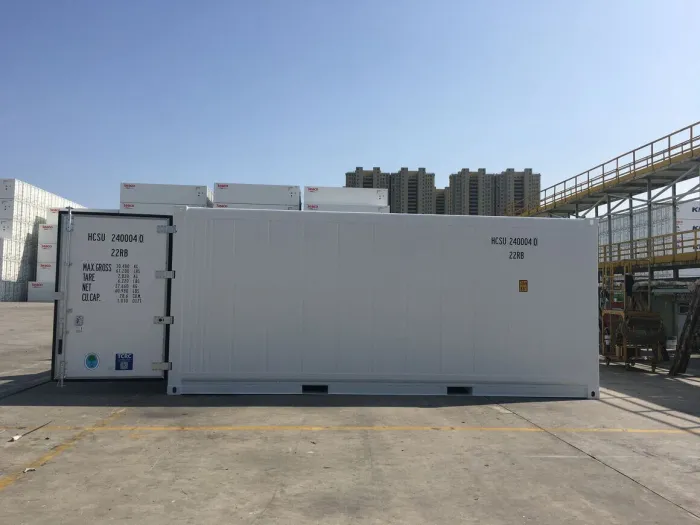 20ft Domestic Refrigerated Container for Sale